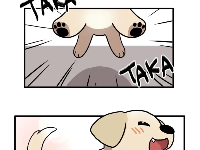 National Dog Day 2016 Chapter 16 page 4 - 