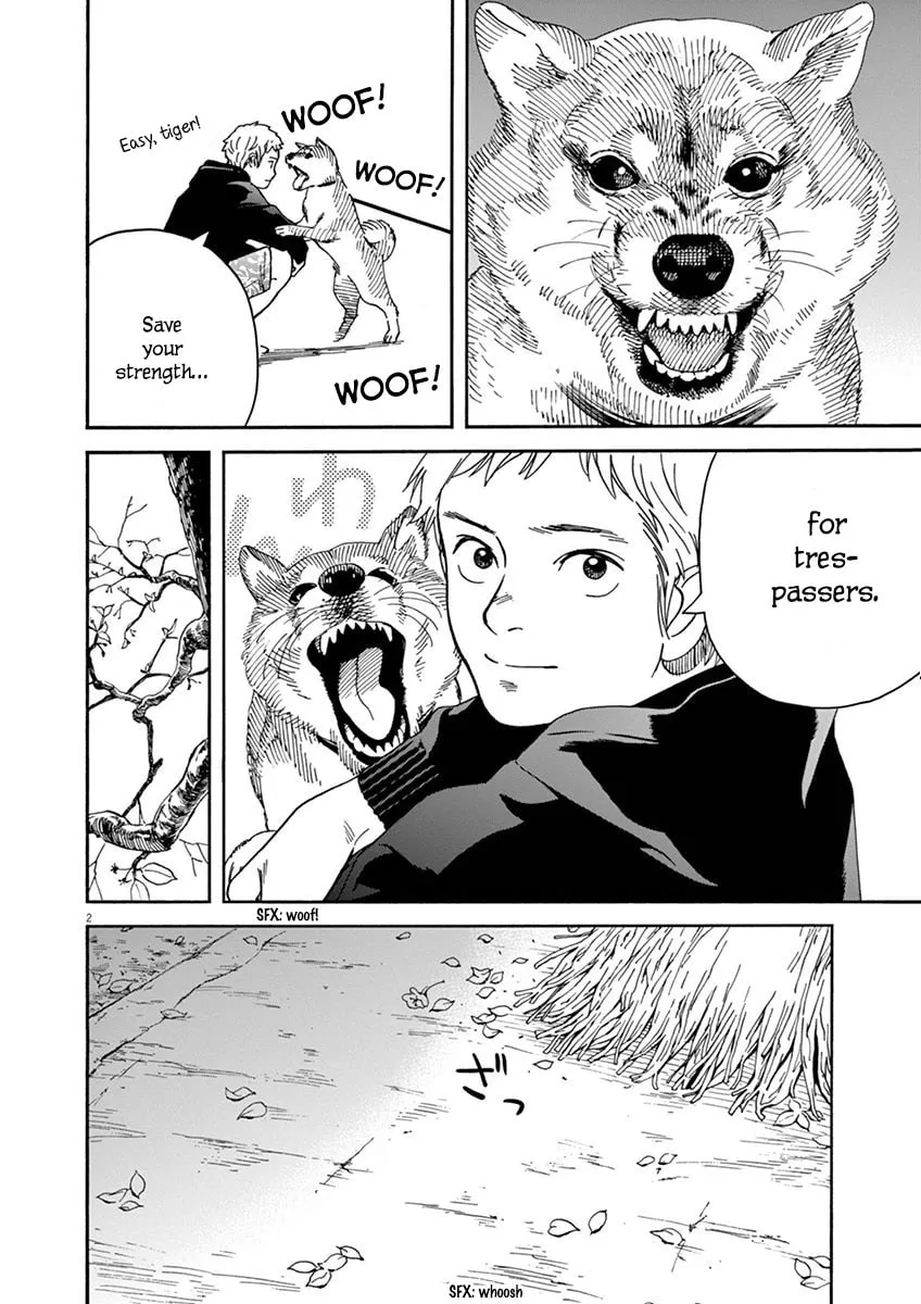 Neko no Otera no Chion-san Chapter 13 page 2 - 