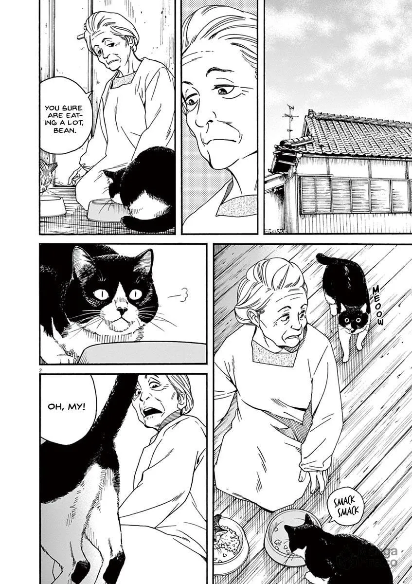 Neko no Otera no Chion-san Chapter 21 page 3 - 