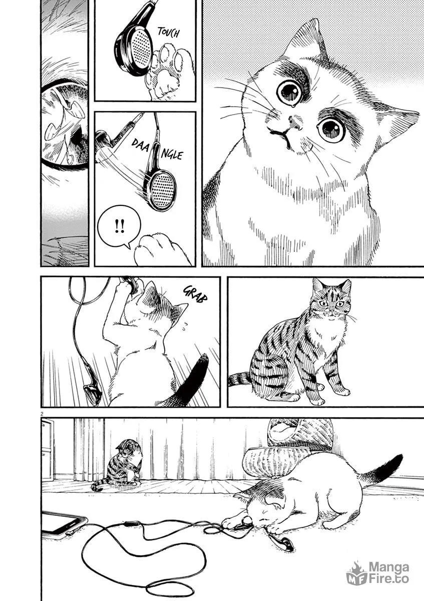 Neko no Otera no Chion-san Chapter 23 page 3 - 