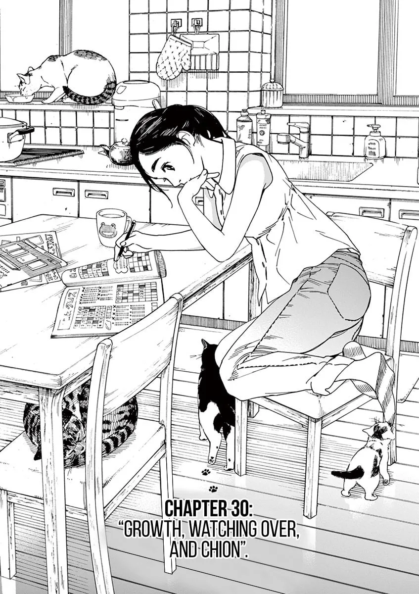 Neko no Otera no Chion-san Chapter 30 page 1 - 