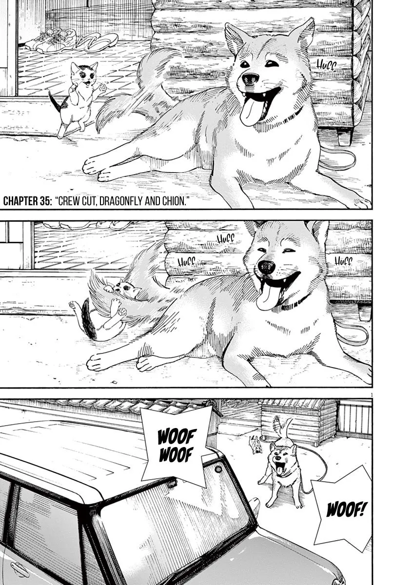 Neko no Otera no Chion-san Chapter 35 page 1 - 