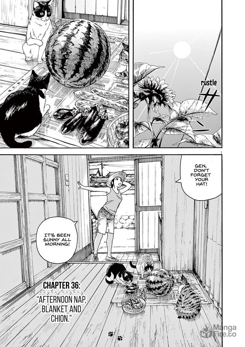 Neko no Otera no Chion-san Chapter 36 page 5 - 