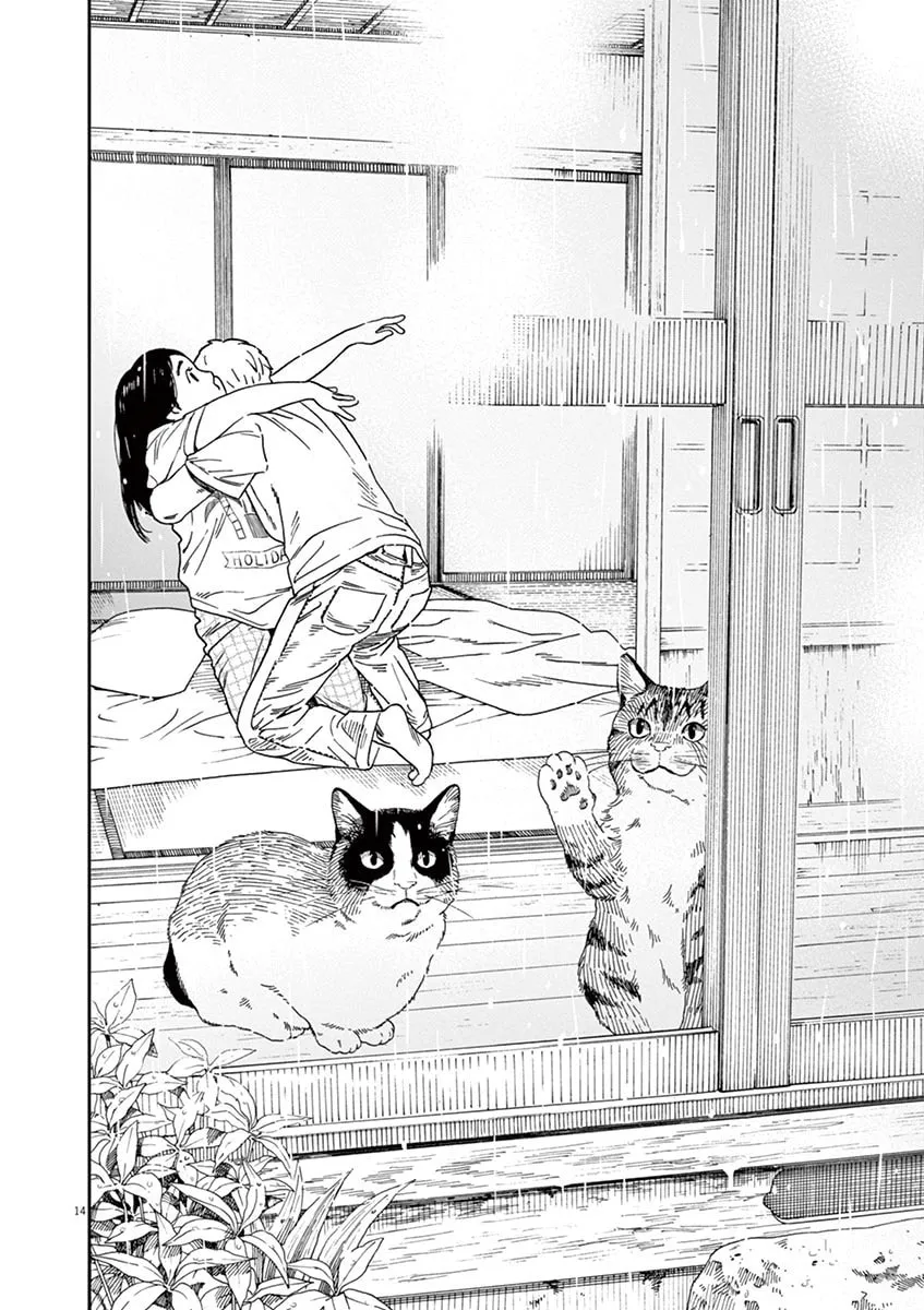 Neko no Otera no Chion-san Chapter 43 page 14 - 