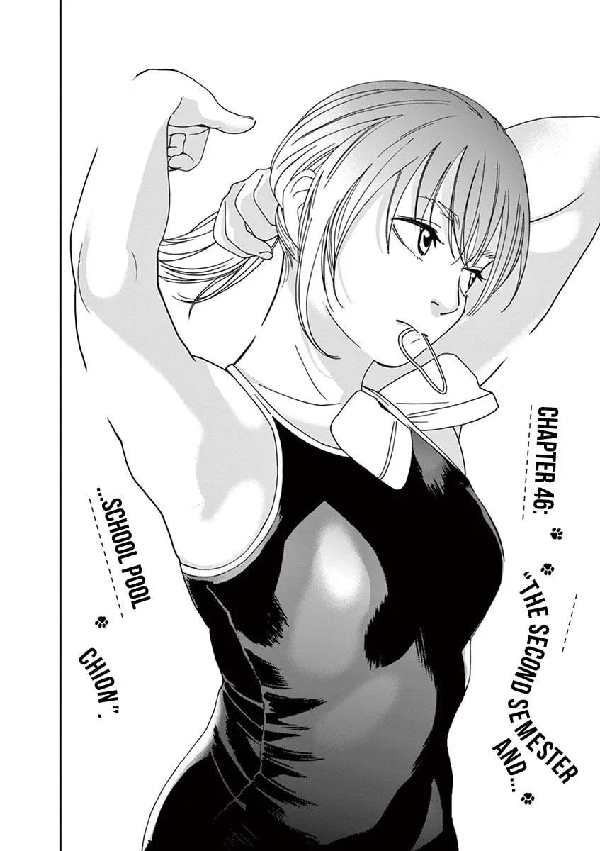 Neko no Otera no Chion-san Chapter 46 page 2 - 