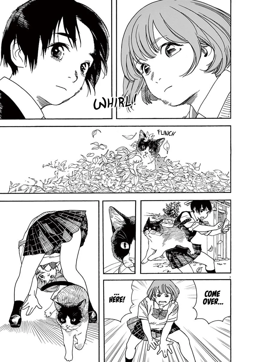 Neko no Otera no Chion-san Chapter 49 page 7 - 
