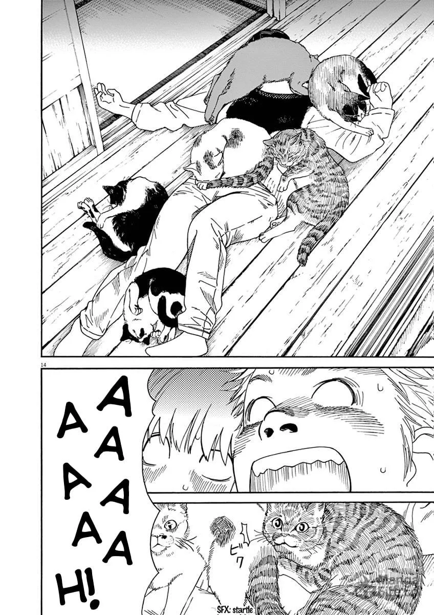 Neko no Otera no Chion-san Chapter 5 page 15 - 
