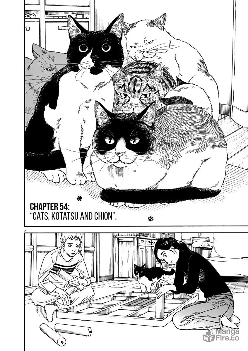 Neko no Otera no Chion-san Chapter 54 page 6 - 