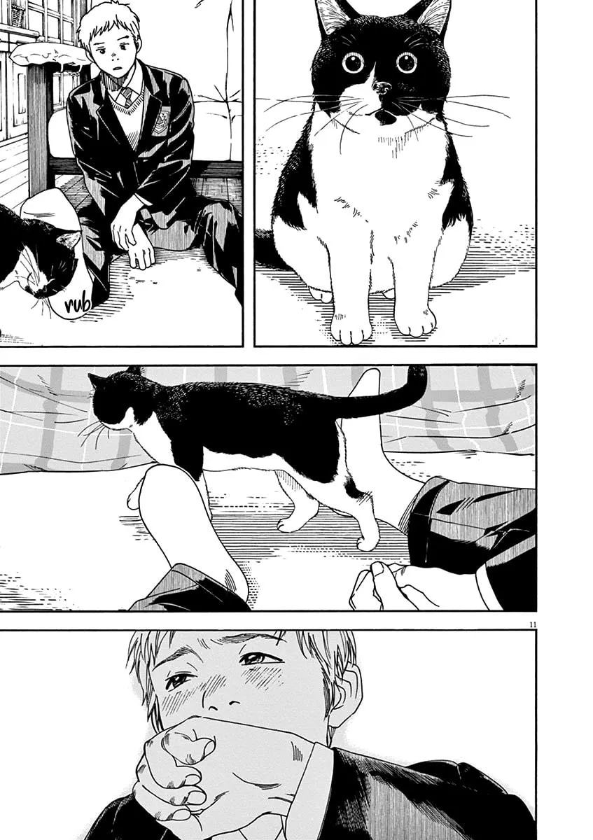 Neko no Otera no Chion-san Chapter 56 page 11 - 