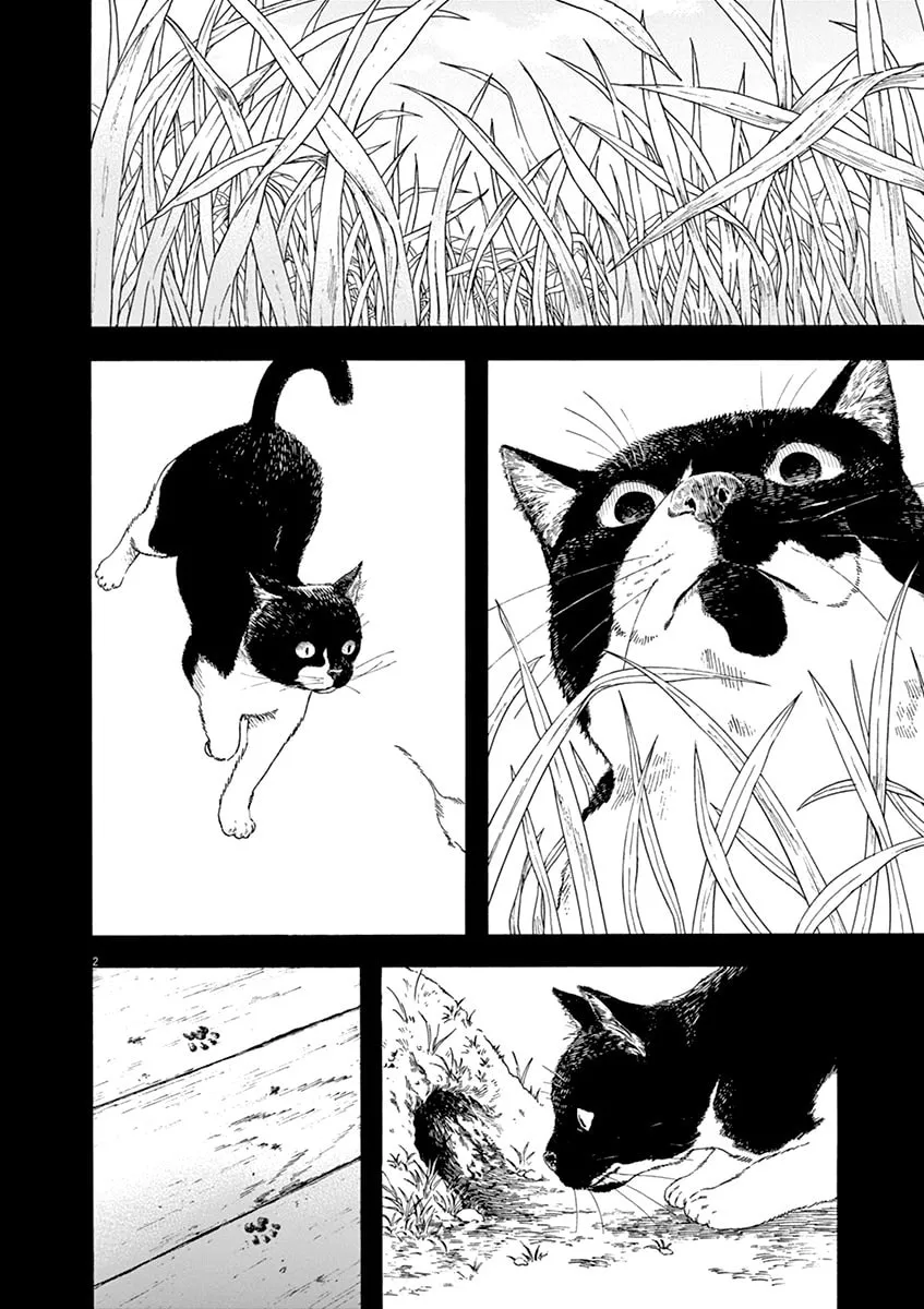 Neko no Otera no Chion-san Chapter 68 page 2 - 