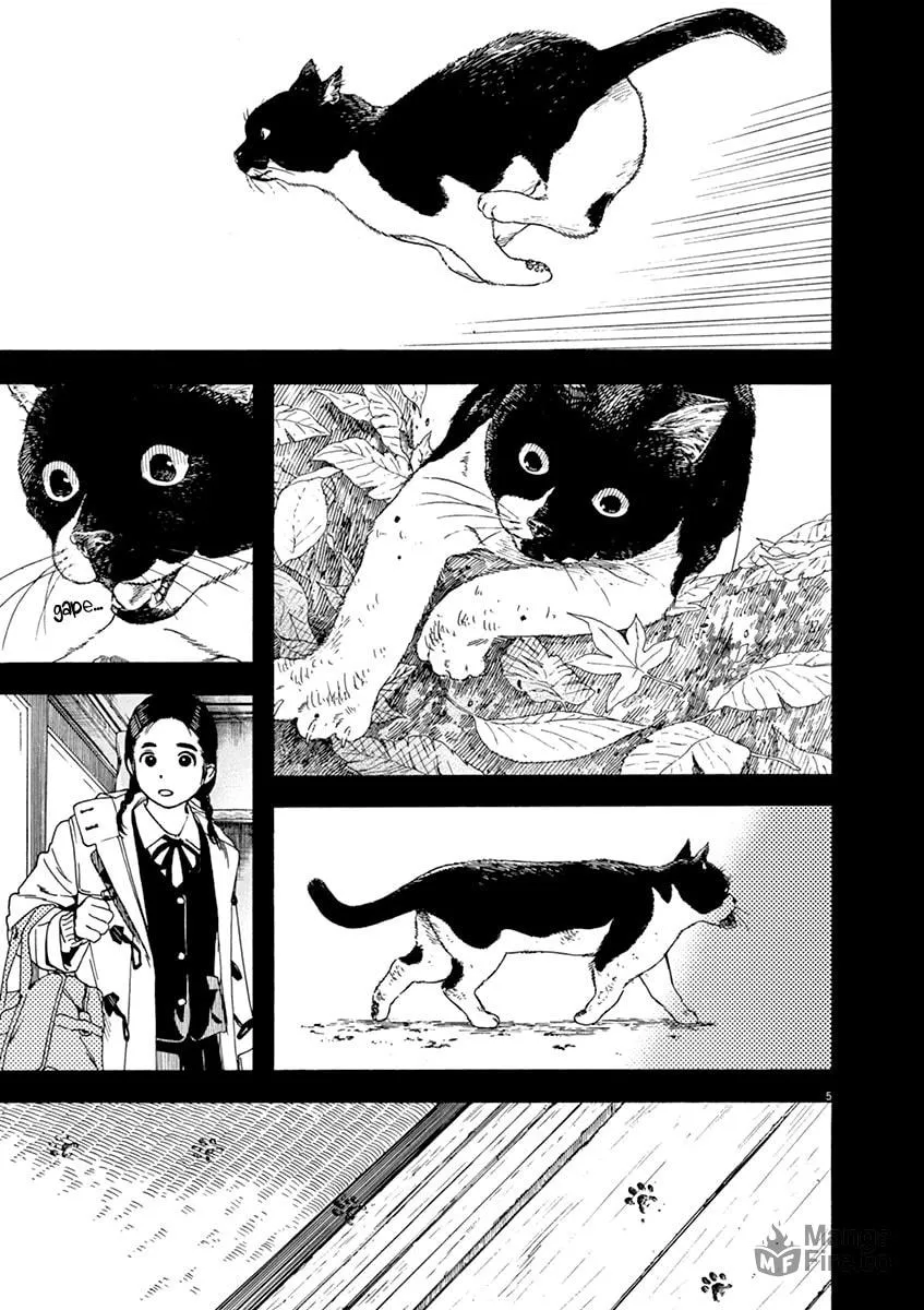 Neko no Otera no Chion-san Chapter 68 page 5 - 