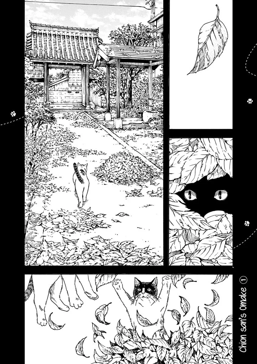 Neko no Otera no Chion-san Chapter 73 page 19 - 