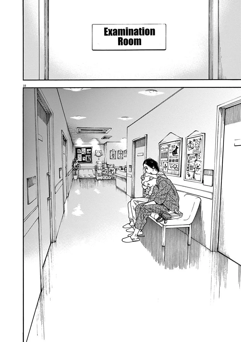 Neko no Otera no Chion-san Chapter 75 page 19 - 