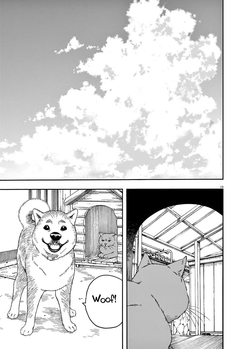 Neko no Otera no Chion-san Chapter 79 page 19 - 