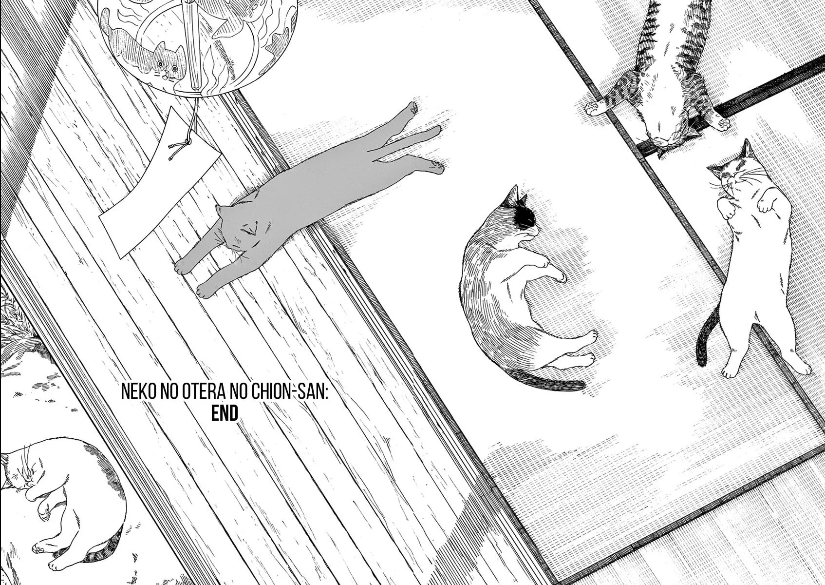 Neko no Otera no Chion-san Chapter 79 page 20 - 
