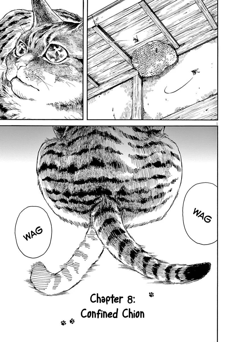 Neko no Otera no Chion-san Chapter 8 page 1 - 