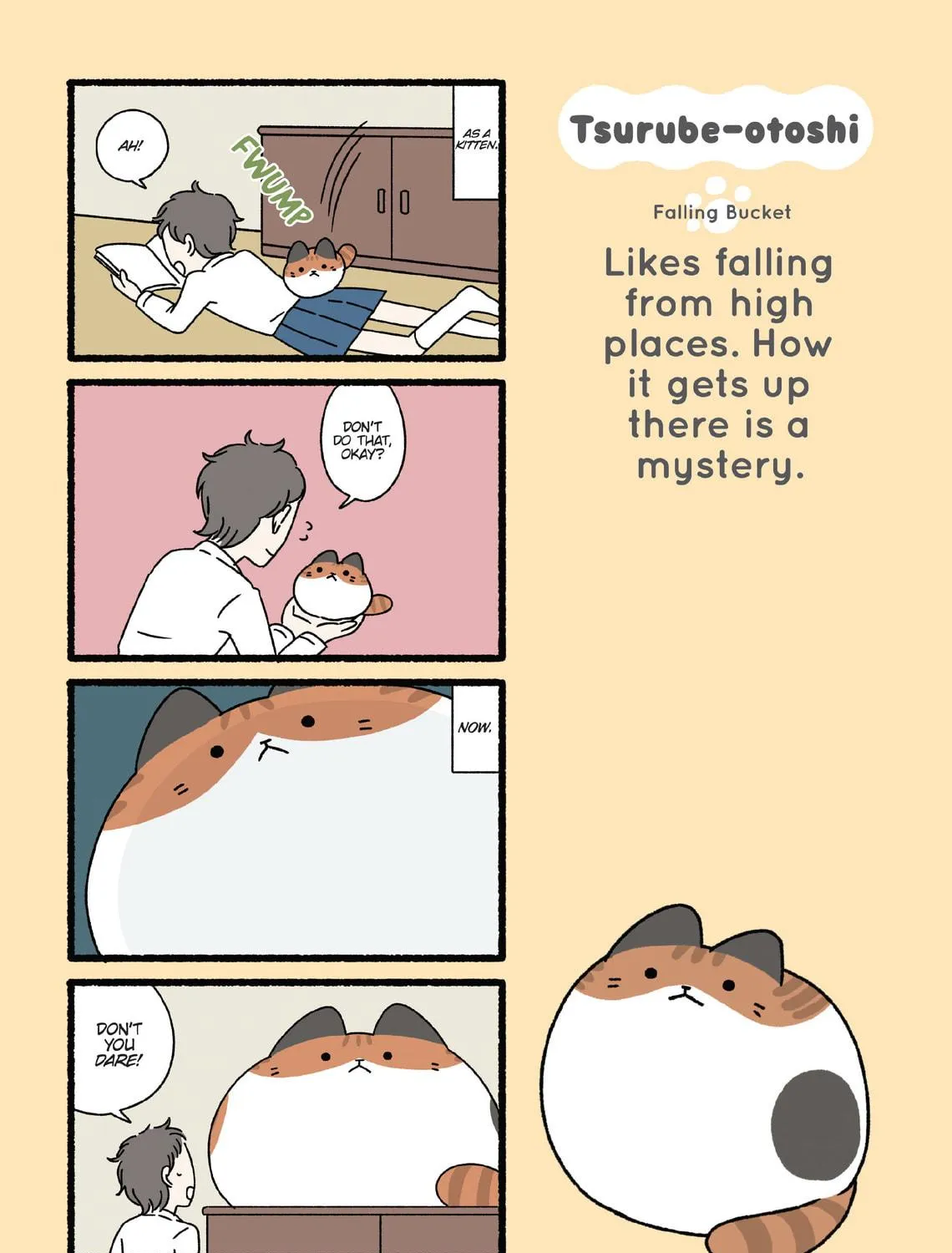 Neko Youkai Chapter 35 page 5 - 
