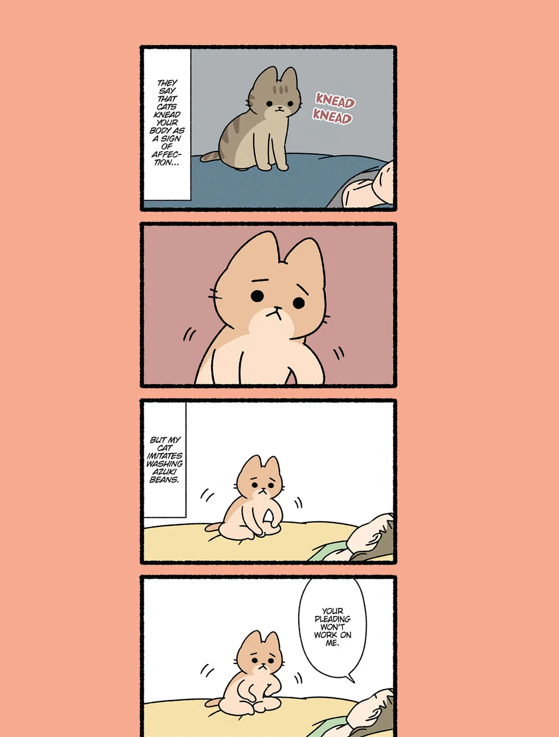 Neko Youkai Chapter 36 page 33 - 
