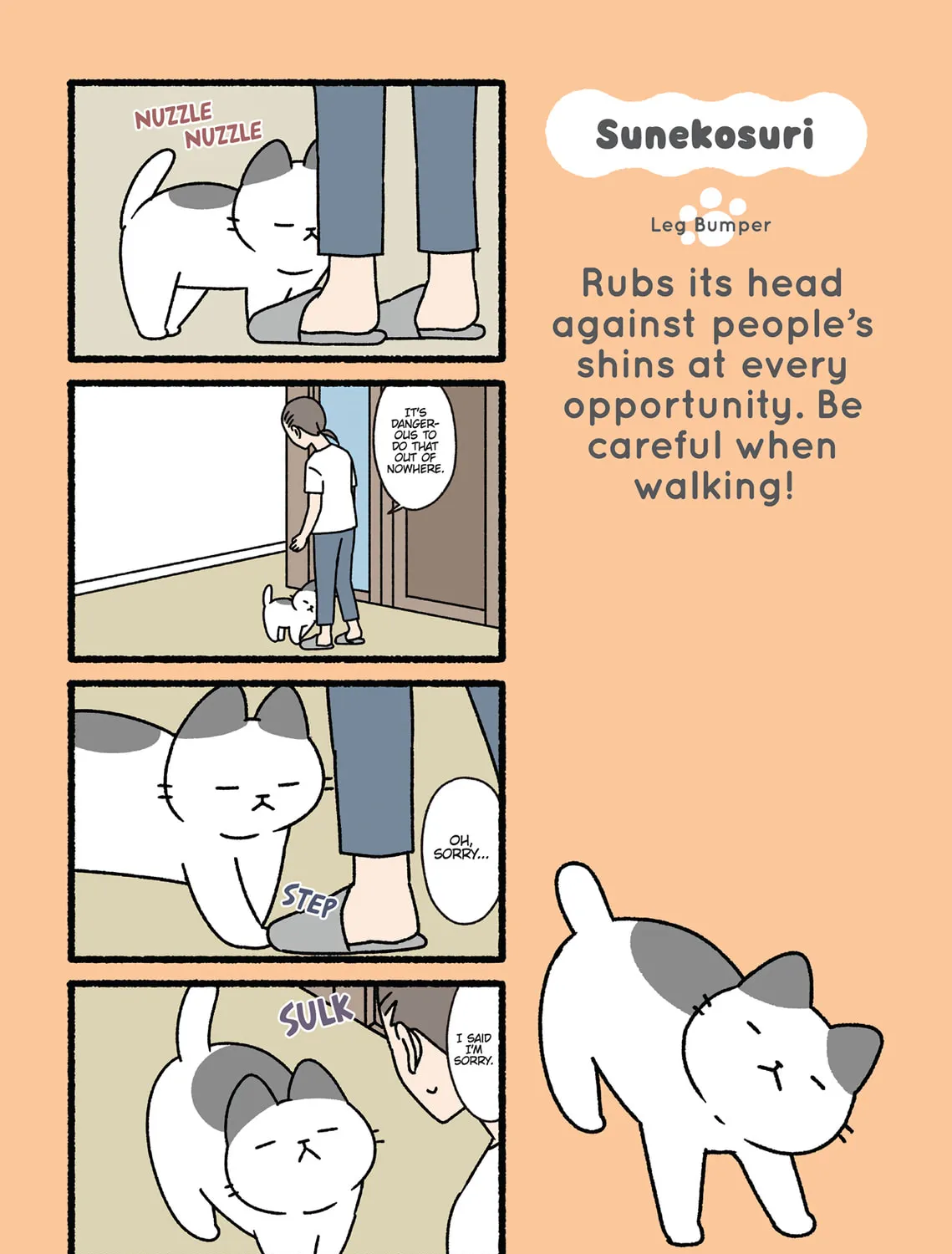 Neko Youkai Chapter 36 page 37 - 