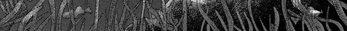 Nella of the Horizon Chapter 1 page 84 - 