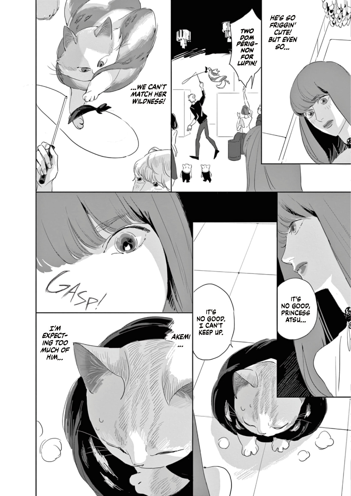 Neo Cat Chapter 2 page 13 - 
