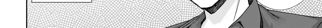 Net No 