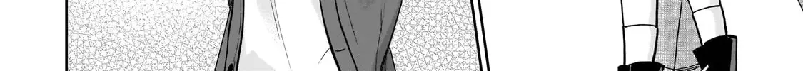 Net No 