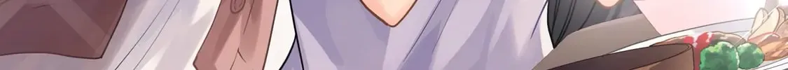 Net No 