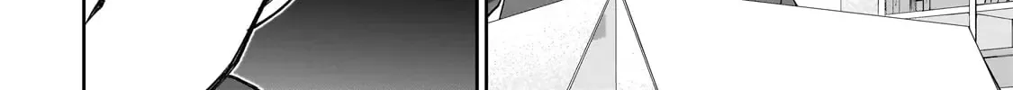 Net No 