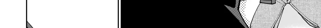Net No 