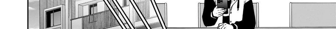 Net No 