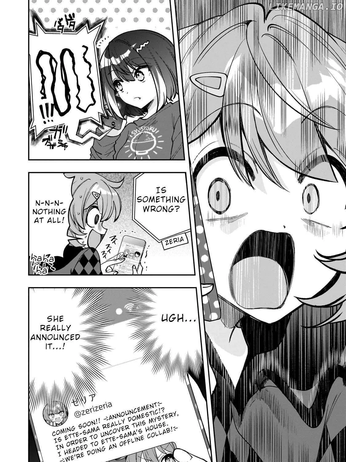 Net No 