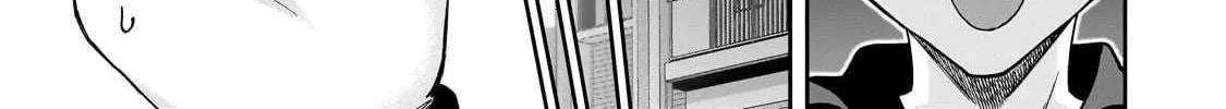 Net No 