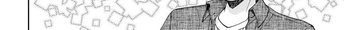 Net No 