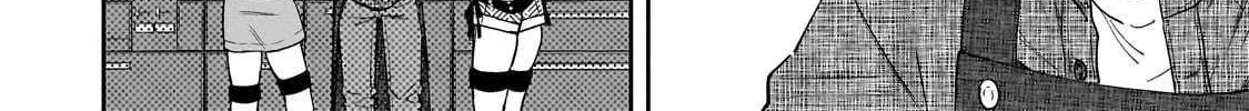 Net No 