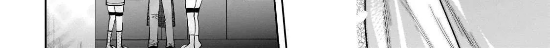 Net No 