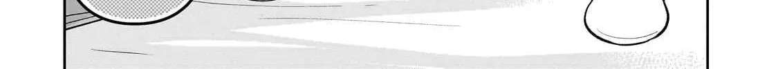 Net No 