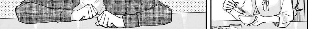 Net No 
