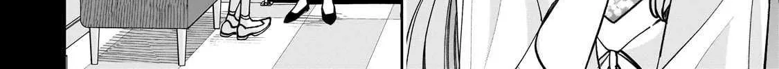Net No 