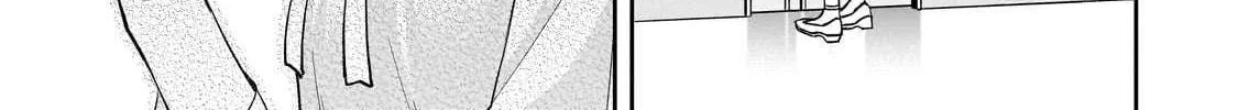 Net No 