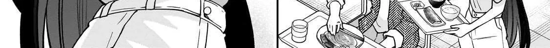 Net No 
