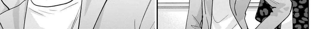 Net No 