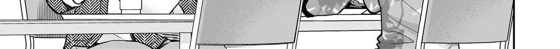 Net No 