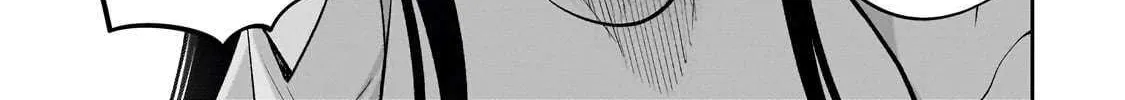 Net No 