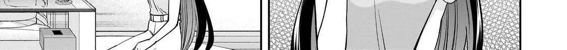 Net No 
