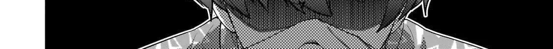 Net No 