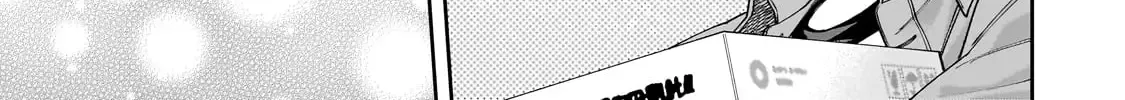 Net No 