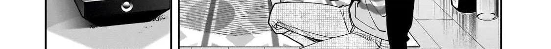 Net No 