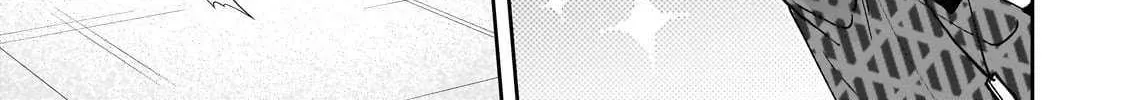Net No 