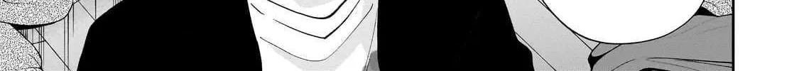 Net No 